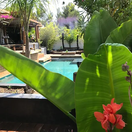 Villa Villa Java
