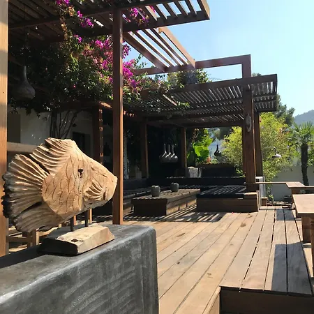 Villa Java Villa
